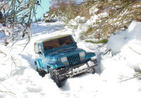 snow_wrangler3.jpg (187 KB)